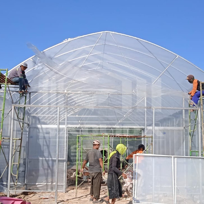 Round Arch Side Ventilation Plastic Tunnel Greenhouse Trade Single-span Strawberry Greenhouse