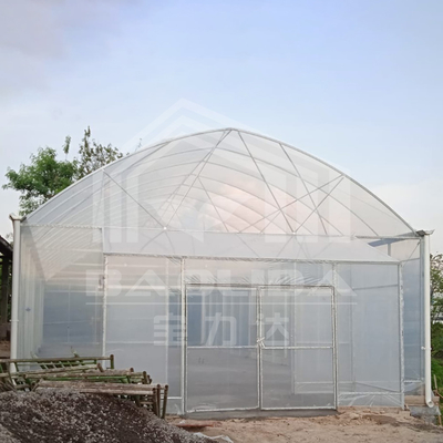 Round Arch Side Ventilation Plastic Tunnel Greenhouse Trade Single-span Strawberry Greenhouse