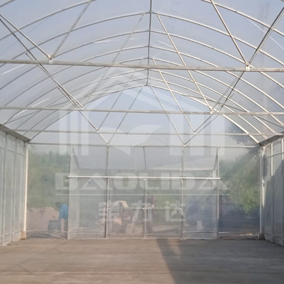 Round Arch Side Ventilation Plastic Tunnel Greenhouse Trade Single-span Strawberry Greenhouse