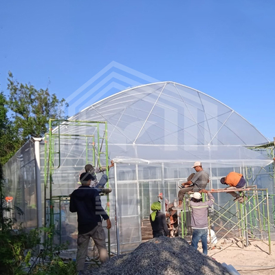 Round Arch Side Ventilation Plastic Tunnel Greenhouse Trade Single-span Strawberry Greenhouse