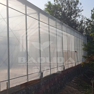 Round Arch Side Ventilation Plastic Tunnel Greenhouse Trade Single-span Strawberry Greenhouse
