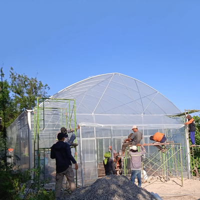 Round Arch Side Ventilation Plastic Tunnel Greenhouse Trade Single-span Strawberry Greenhouse