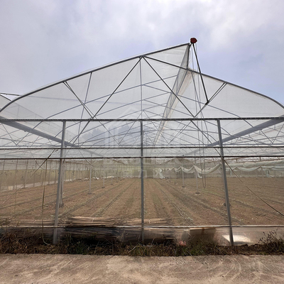 Tropical Area Cooling Ventilation Control System Sawtooth Roof Multispan Poly Greenhouse