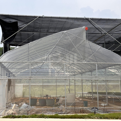 Tropical Area Cooling Ventilation Control System Sawtooth Roof Multispan Poly Greenhouse