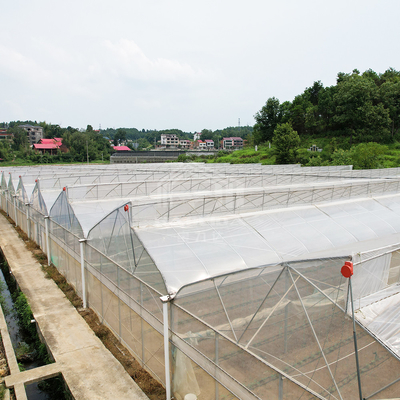 Tropical Area Cooling Ventilation Control System Sawtooth Roof Multispan Poly Greenhouse