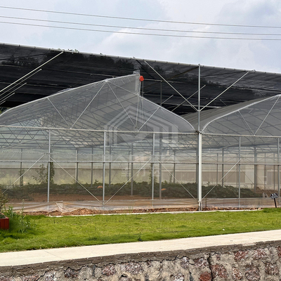 Tropical Area Cooling Ventilation Control System Sawtooth Roof Multispan Poly Greenhouse