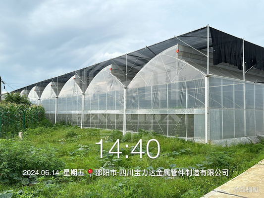 Hot Dip Galvanized Steel Pipe Green House Hothouse Ventilated Plastic Sawtooth Multi-span Film Tropical Greenhouse