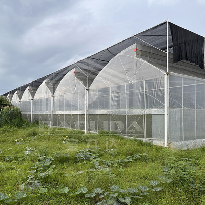 Hot Dip Galvanized Steel Pipe Green House Hothouse Ventilated Plastic Sawtooth Multi-span Film Tropical Greenhouse