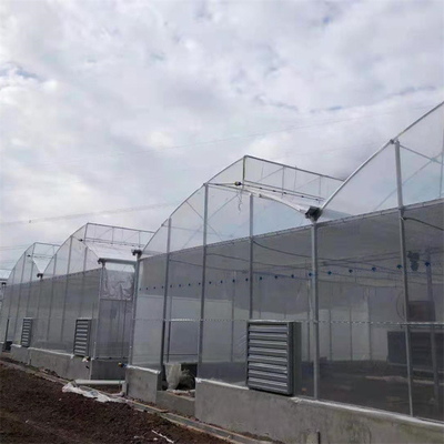 Hot Dip Galvanized Steel Pipe Green House Hothouse Ventilated Plastic Sawtooth Multi-span Film Tropical Greenhouse