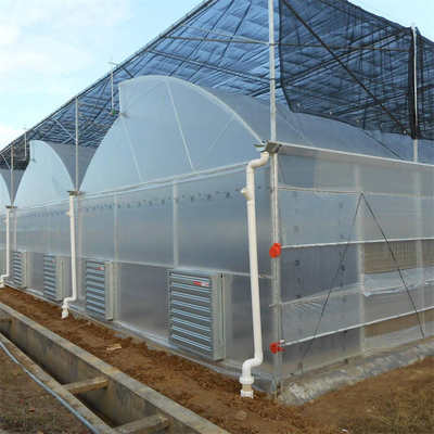 Hot Dip Galvanized Steel Pipe Green House Hothouse Ventilated Plastic Sawtooth Multi-span Film Tropical Greenhouse