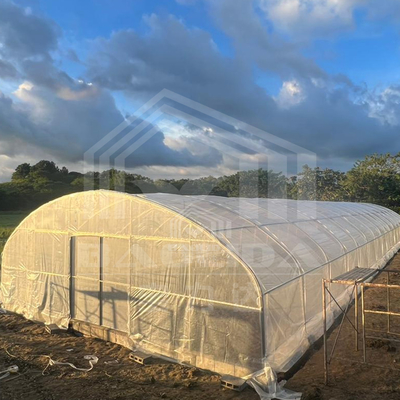Agriculture Plants Growing Tunnel Greenhouse Sale Online 20m Tunnel Single-span Greenhouse