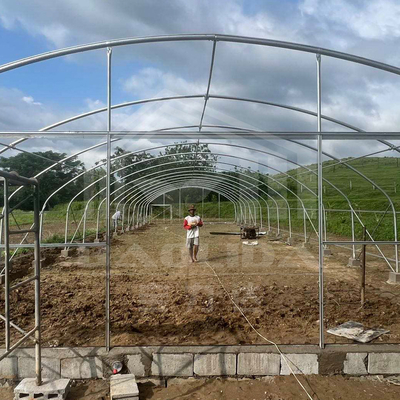 Agriculture Plants Growing Tunnel Greenhouse Sale Online 20m Tunnel Single-span Greenhouse