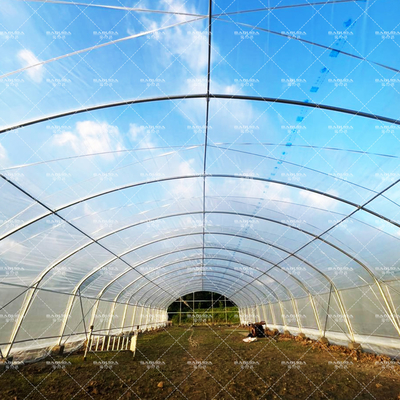 Agriculture Plants Growing Tunnel Greenhouse Sale Online 20m Tunnel Single-span Greenhouse