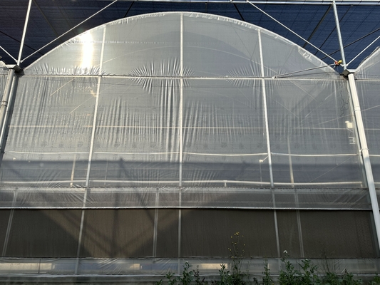 Agriculture Large Green House Metal Frame Multispan Vegetables Growing Tunnel Multi Span Film Greenhouse