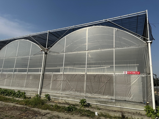 Agriculture Large Green House Metal Frame Multispan Vegetables Growing Tunnel Multi Span Film Greenhouse