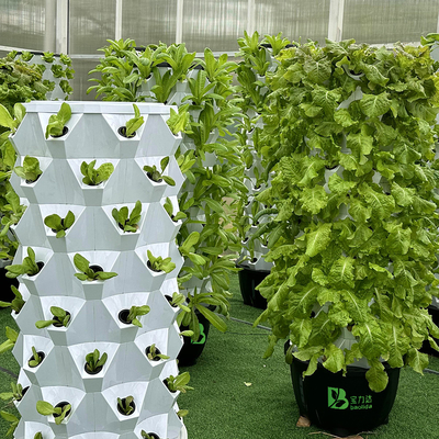 Growart Tower Hydroponic Growing System Automatic Visible Water Line Space Saving ABS