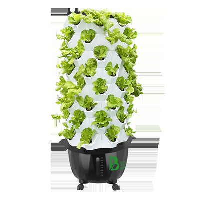 Customize Your Layer Number Vertical Farming With Hydroponic Water Drip System