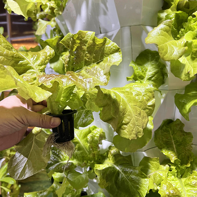Usually Storage Type Hydroponic Growing System with Customizable Layer Number