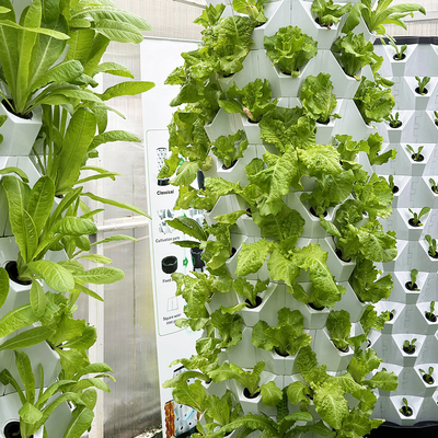 Compact And Versatile Hydroponic Growing System For Saving-Space Storage Type