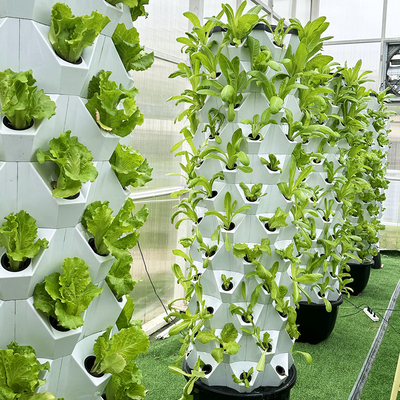 Customize Your Layer Number Vertical Farming With Hydroponic Water Drip System