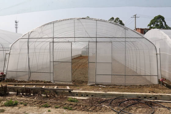 Polytunnel Sri Lanka Colombo Steel Frame Greenhouse Single Span