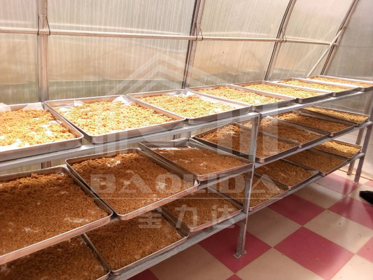 Polycarbonate Board Chilli Drying Solar Greenhouse Dryer For Vegetables Fruits