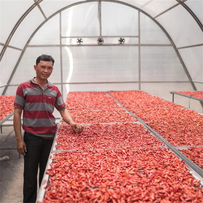 Stable Structure Vegetable and Herb Drying Greenhouse with Advanced Ventilation Technology
