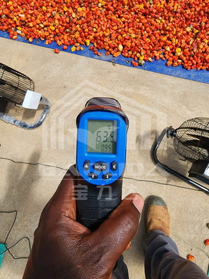 Energy-Efficient Drying Greenhouse with Ventilation for Controlled Vegetable and Herb Drying