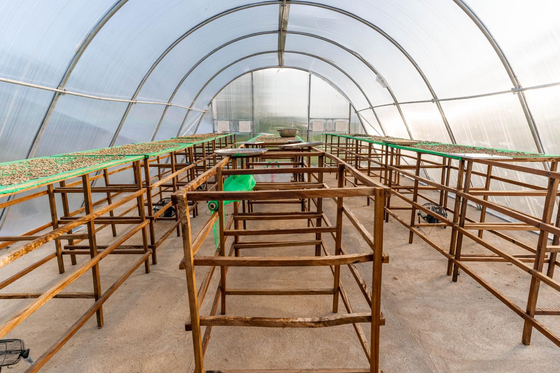 Durable PC Board Drying Greenhouse with Advanced Ventilation for High-Yield Herb Drying