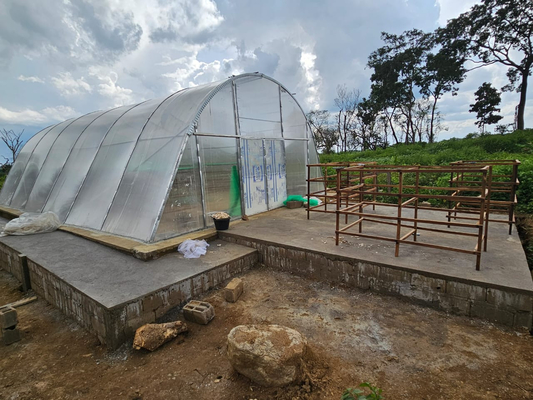 Durable PC Board Drying Greenhouse with Advanced Ventilation for High-Yield Herb Drying