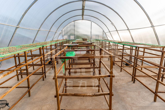 Customizable Smart Drying Greenhouse for Vegetables and Fruits in Controlled Environment