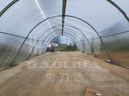 Customizable Smart Drying Greenhouse for Vegetables and Fruits in Controlled Environment