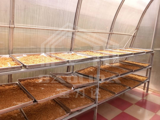 Customizable Smart Drying Greenhouse for Vegetables and Fruits in Controlled Environment