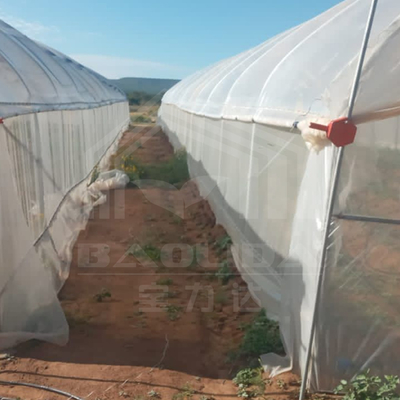 Galvanized Frame Tunnel Greenhouse For Efficient Vegetable Production