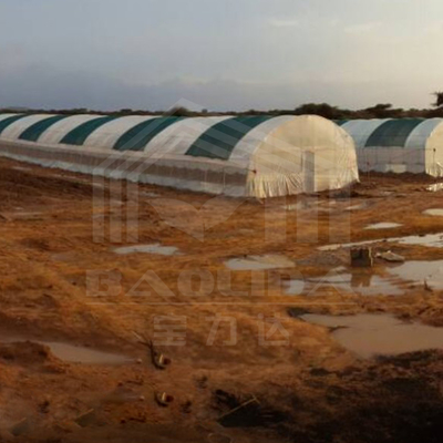 Galvanized Frame Tunnel Greenhouse For Efficient Vegetable Production