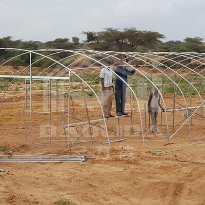 Galvanized Frame Tunnel Greenhouse For Efficient Vegetable Production