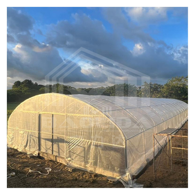 6x15m Multipurpose Tunnel Greenhouse With Superior Light Transmission