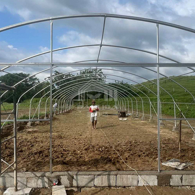 6x15m Multipurpose Tunnel Greenhouse With Superior Light Transmission