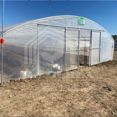 Tunnel Plastic Greenhouse Galvanized Steel Frame Pe Film Greenhouse Single Span Greenhouse