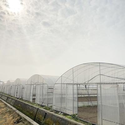 6x15m Tunnel Greenhouse For Flower And Vegetable Farming Projects