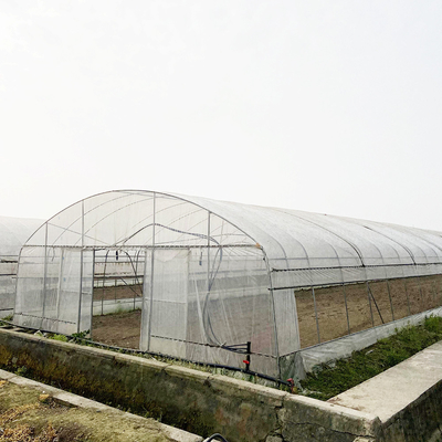 6x15m Tunnel Greenhouse For Flower And Vegetable Farming Projects