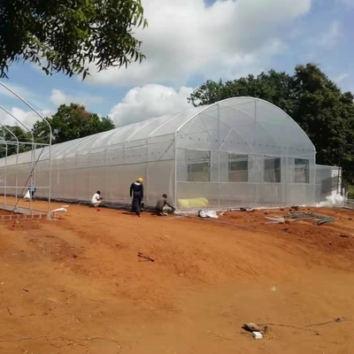 Galvanized Pipe Frame Tunnel Greenhouse With Optimal Insulation
