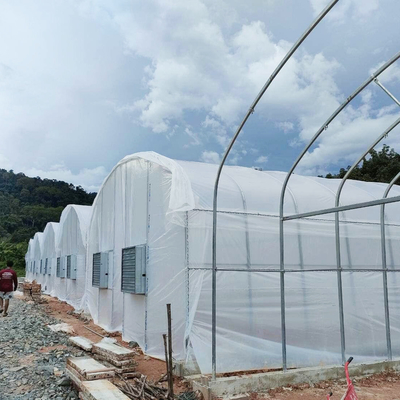 Galvanized Pipe Frame Tunnel Greenhouse With Optimal Insulation