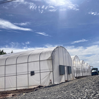 Galvanized Pipe Frame Tunnel Greenhouse With Optimal Insulation