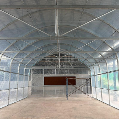 Galvanized Pipe Frame Tunnel Greenhouse With Optimal Insulation