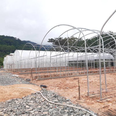 Galvanized Pipe Frame Tunnel Greenhouse With Optimal Insulation