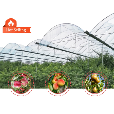 Professional Fruit Mushroom Tunnel Greenhouse with Film and Shade Net Cover Material