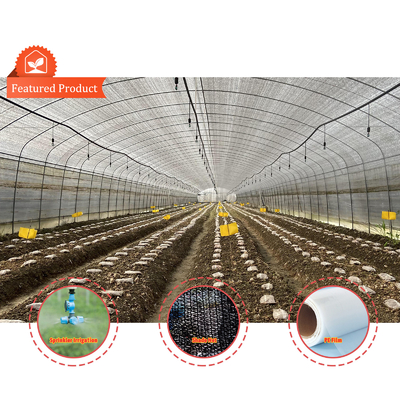 Professional Fruit Mushroom Tunnel Greenhouse with Film and Shade Net Cover Material