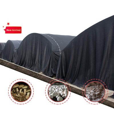 Customizable Manual or Electric Roll Up Ventilation Agricultural Greenhouse for Mushroom Farming