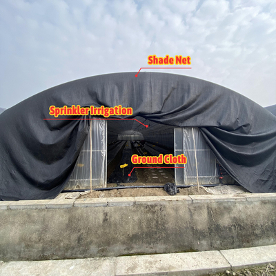 Customizable Manual or Electric Roll Up Ventilation Agricultural Greenhouse for Mushroom Farming